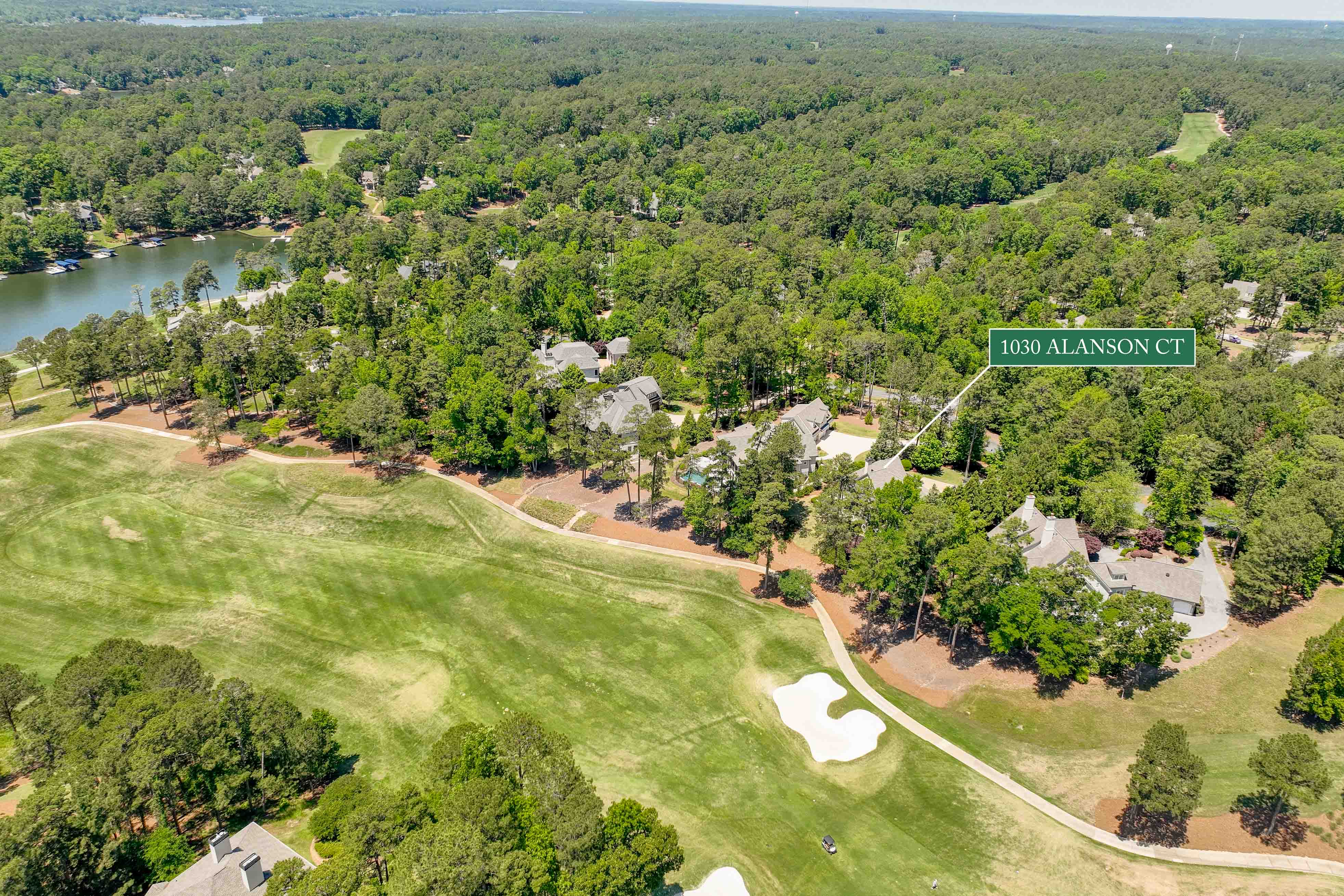 1030 Alanson Court image 53